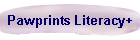 Our Foundation