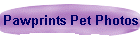 Pawprints Stars Photos