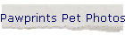 Pawprints Stars Photos