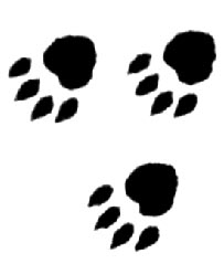 pawprints_for_Inaspawprints.com,_home_of_creative_writing_for_animal_lovers_of_all_ages