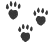 paws from 'Pawprints' by Ina, the book of short stories for animals and people